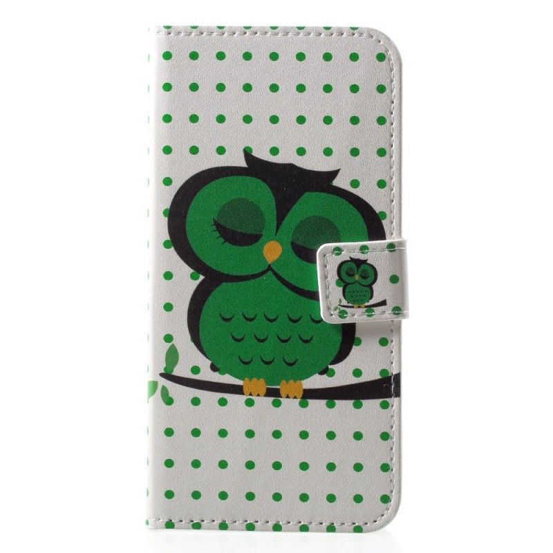 Lederhüllen Huawei P20 Lite Handyhülle Schlafende Eule