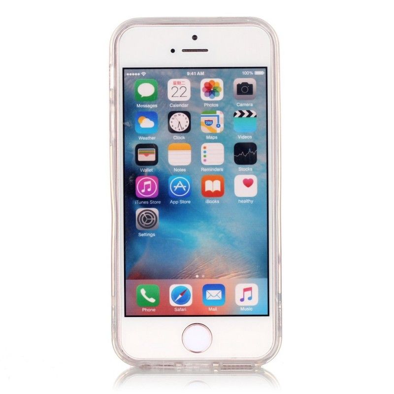 Hülle iPhone 5 / 5S / SE Handyhülle Transparenter Bunter Traumfänger