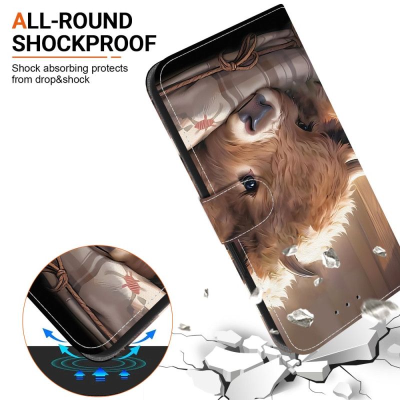 Lederhüllen Für Oneplus Nord 5 Kalb