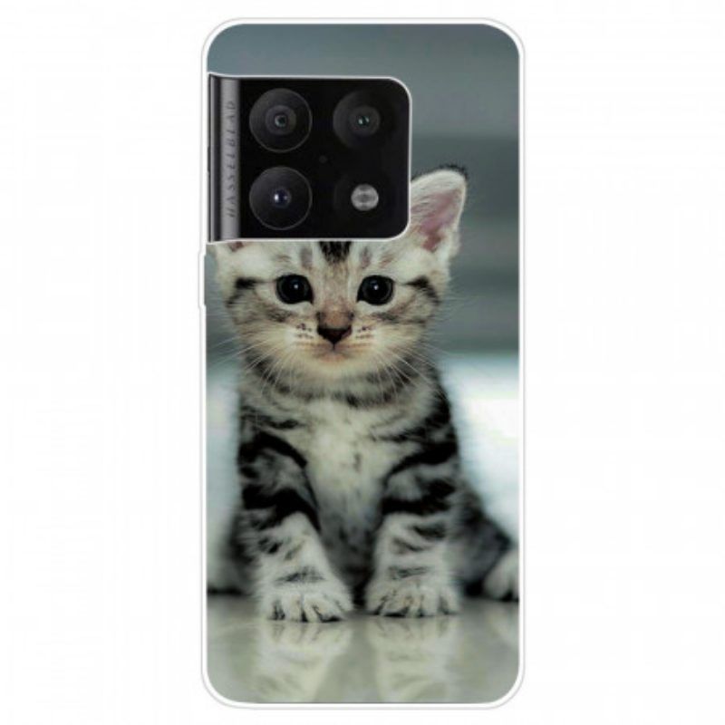 Hülle Für OnePlus 10 Pro 5G Kätzchen Kätzchen
