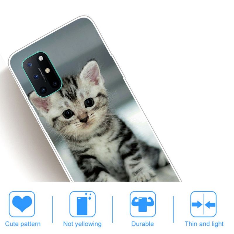Hülle Für OnePlus 8T Kätzchen Kätzchen