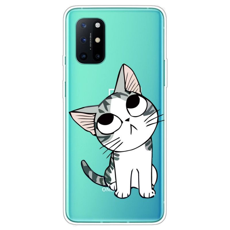 Hülle OnePlus 8T Sieh Dir Die Graue Katze An