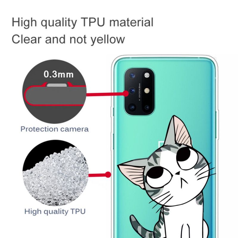 Hülle OnePlus 8T Sieh Dir Die Graue Katze An