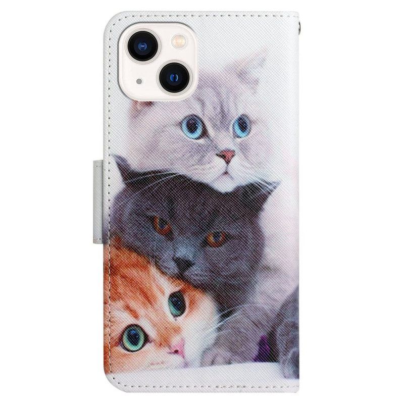 Lederhüllen Für iPhone 15 Mit Kordel Nur Katzen Mit Tangas