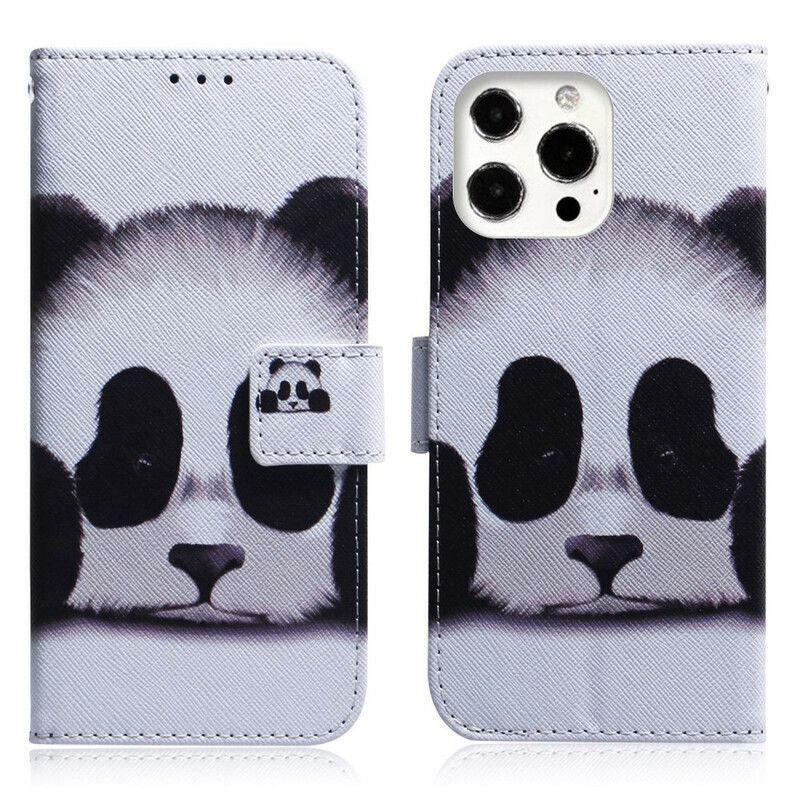 Lederhüllen Iphone 13 Pro Pandagesicht